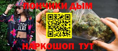 шишки Гай