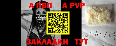 шишки Гай