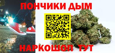 шишки Гай