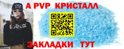шишки Гай