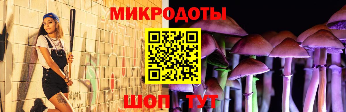 Псилоцибиновые грибы Psilocybine cubensis Ростов Великий