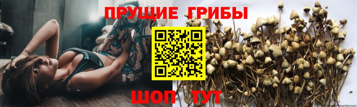 Галлюциногенные грибы мухоморы  Вход с VPN  Ростов Великий  Галлюциногенные грибы Cubensis 